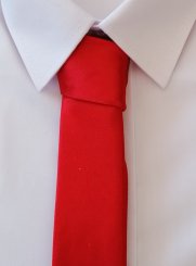 noeud papillon et cravate rouge