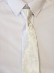 noeud papillon et cravate blanc