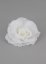 fleur blanche ornement robe mariage