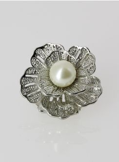 bijoux pour chaussures couleur argent